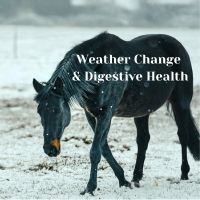 How do weather changes affect your horse