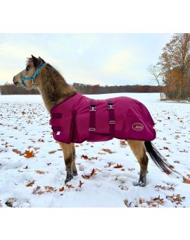 Mini Horse Winter Blanket