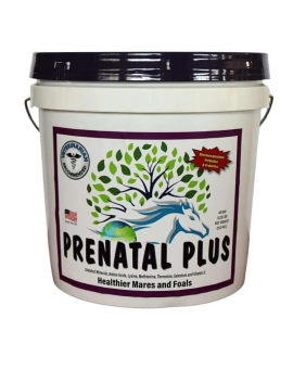 Equine Pregnancy - Prenatal-Plus
