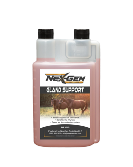 NexGen Nutrition Glad Support Equine Thyroid and Reproductive Supplement For Horses