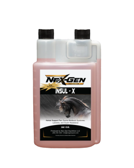 NexGen Nutrition Insul-x Equine metabolic supplement support glucose levels in horses naturally