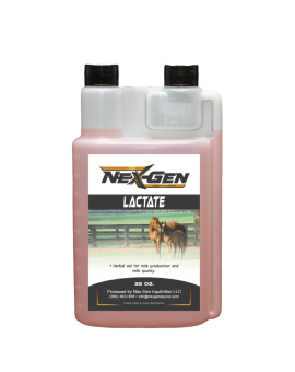NexGen Lactate Mare In Foal Supplement Milk Production In Horses