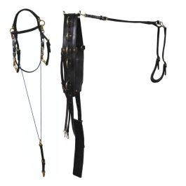 Heavy Duty Bitting Rig With Kentucky Headsetter