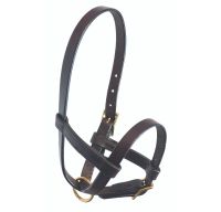 Leather Foal Halter