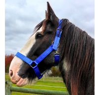 Premium Nylon Draft Halter Triple Ply