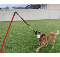 Tether Tug Dog Toy interactive play time