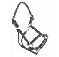 Deluxe Leather Miniature Horse Halter
