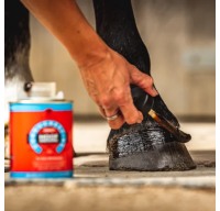 Cornucrescine Hoof Dressing