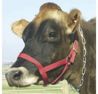 Nylon Cattle Halter