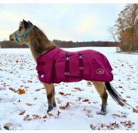 Mini Horse Winter Blanket