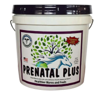 Equine Pregnancy - Prenatal-Plus