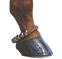 Rattle Strap Action Bands Pair