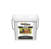 NexGen Nutrition Enhancer Skin Coat Shine Weight Gain Body Conditioning Supplement For Horses