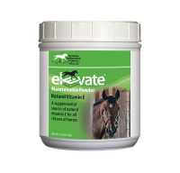 Kentucky Performance Products Elevate Maintenance Powder Natural Vitamin E