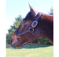 Wide Leather Stallion Halter Congress Cut Leather Halter Horse Stallion Presentation Halter