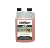 NexGen Lactate Mare In Foal Supplement Milk Production In Horses
