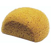 Body Sponge