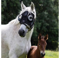 Equilume Curragh Light Mask